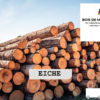 Stammholz Eiche – LKW-Ladung flexibel (20 RM oder 40 RM)