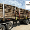 Aktionssortiment Buche / Esche – LKW-Ladung (ca. 45 RM)