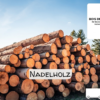 Stammholz Nadelholz – LKW-Ladung flexibel