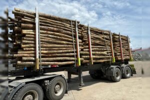 top holz imgi_4_Bioenergiezentrum_Burgau_Buche_3m_unter_20cm-e9e367fe-1920w Aktionsangebot Buche / Esche Stammholz – Komplettladung ca. 45 RM