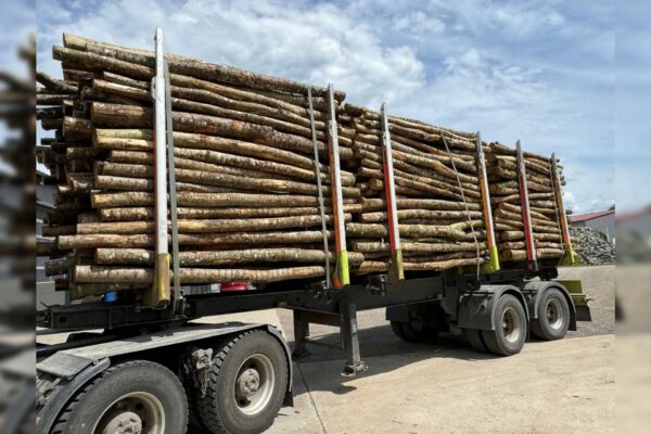 top holz imgi_4_Bioenergiezentrum_Burgau_Buche_3m_unter_20cm-e9e367fe-1920w Aktionsangebot Buche / Esche Stammholz – Komplettladung ca. 45 RM