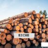 Eichen Stammholz – Flexible LKW-Ladung 20 RM oder 40 RM