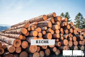 top holz imgi_4_StammholzLabelFichtehalberLKW Eichen Stammholz – Flexible LKW-Ladung 20 RM oder 40 RM