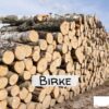 Birken Stammholz – Flexible LKW-Ladung 20 RM oder 40 RM