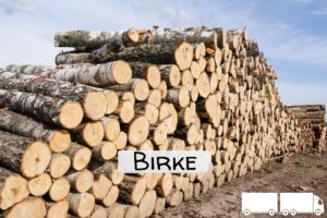 top holz imgi_4_Stammholz+Label+Birke+ganzer+LKW Birken Stammholz – Flexible LKW-Ladung 20 RM oder 40 RM