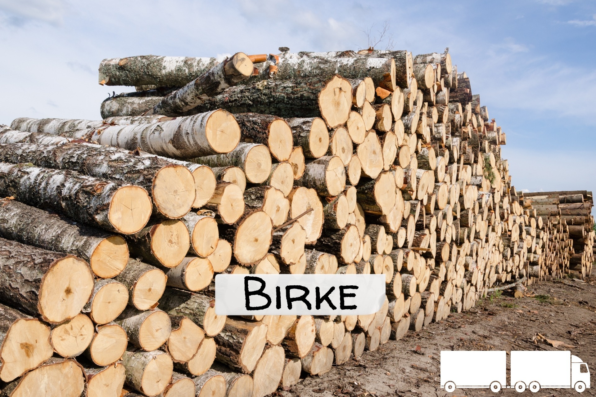 Birken Stammholz – Flexible LKW-Ladung 20 RM oder 40 RM