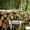 Buchen Stammholz – LKW-Ladung (ganz oder halb) 20 / 40 RM