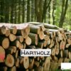 Hartholz / Laubholz Stammholz – LKW-Ladung flexibel 20–40 RM | Premium Mischholz aus Buche, Eiche & Esche