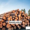 Nadelholz Stammholz – Flexible LKW-Ladung 20/40 RM