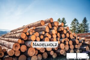 top holz imgi_4_Stammholz+Label+Nadelholz+ganzer+LKW Nadelholz Stammholz – Flexible LKW-Ladung 20/40 RM