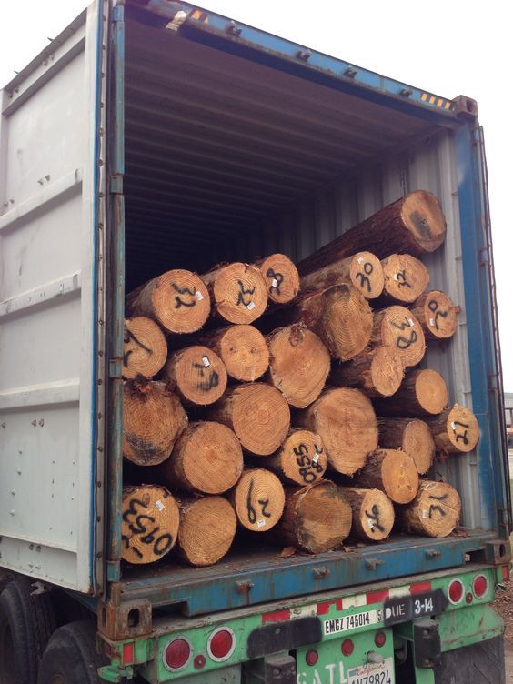 LKW mit Stammholz – TOP HOLZ Logistik