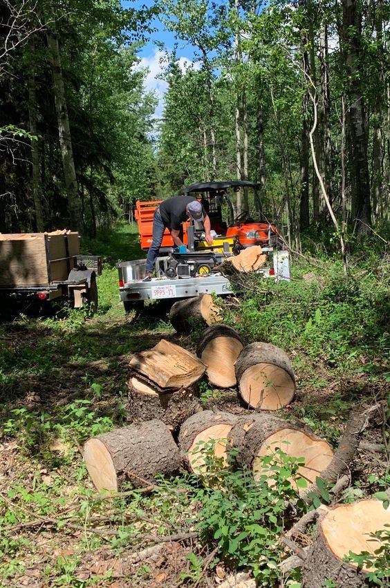 TOP HOLZ – Holzaufbereitung im Wald